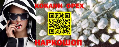 индика Кандалакша