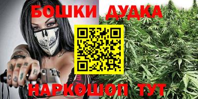 индика Кандалакша