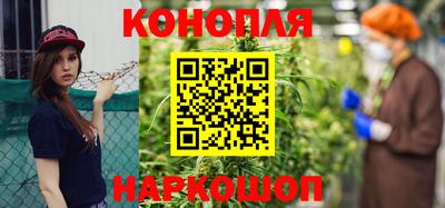 прущие грибы Канаш