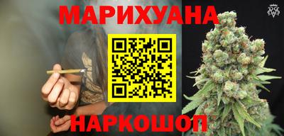 индика Кандалакша