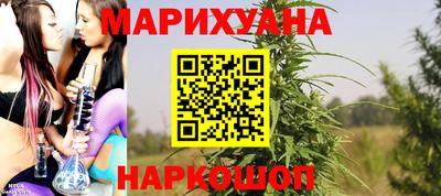 прущие грибы Канаш