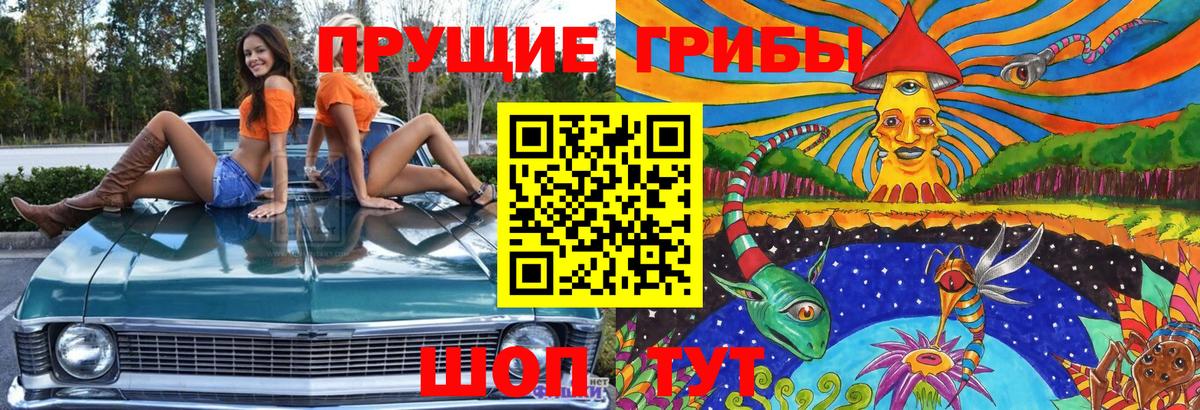 Псилоцибиновые грибы мицелий Кудымкар